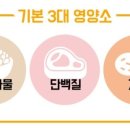 피네테스 이미지