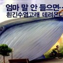 고래수염 이미지
