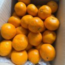 어사농장 이미지