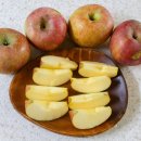 또바기 | 겨울사과 경북사과 맛있는 영천또바기농원 솔직후기