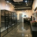 도그반하다 이미지