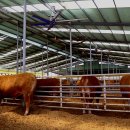 미송농장 이미지