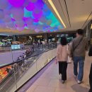 이마트24 부천소사타운점 | ■메가박스 부천스타필드시티점-&#39;어쩔수가 없다&#39;관람