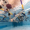 마산종합운동장 올림픽수영장 | 프리다이빙 일기 #1. 올림픽수영장 다이빙풀 고고다이브 초급1강