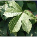 창우마을@ 이미지