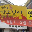 기운내팔딱오징어