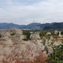 낙동강제방(1) 이미지