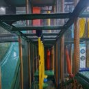 꿈앤틀 | 비발디파크 놀거리 홍천 앤트월드, 5세 아이와 가볼만한곳 2시간 떡실신 후기 🐜
