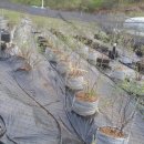 용신농장 이미지