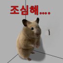 j테라피