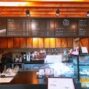 강아지 천국 이미지