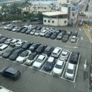 까치횟집 이미지