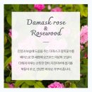 주름 미백 기능성 세럼 아줄렌 발효 프로젝트 세럼 구매후기