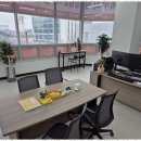 세무회계다힘