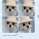마이리틀멍