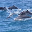 호텔자유 이미지