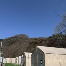 핀란드캠핑장 이미지