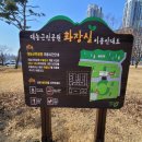 대농그린 이미지