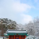 솔밭공원 이미지