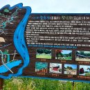 왕숙천고향의강 이미지