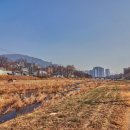 대전천(오투그란데아파트 앞) | 대전천 하프거리 달리기(석교-목척교-중촌초 앞 하상교-목척교-석교-구도동-옥계교 21.1km)