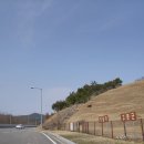 장승리 고분군 이미지