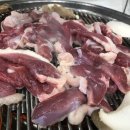 낙동강오리알 이미지