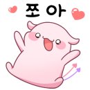 홍어대가 이미지