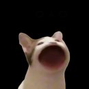 마암 이미지