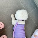 나리목장2 이미지