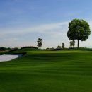 뉴오션 골프 이미지