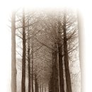 백현교차로 이미지