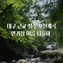 성주 만귀정 | 대구 근교 성주 포천계곡 만귀정 여름 나들이 다녀왔어요