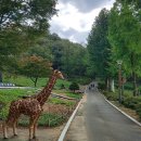 NR-30[달구벌대로]-상-426 | '골목여행의 성지' 대구에서 자연과 맛을 만나다