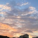 온리누스 이미지