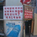 거참 이미지