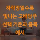 (주)플러스홀딩스 | 하락장일수록 빛나는 고배당주 선택 기준과 종목 예시