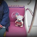 테디베어 이미지