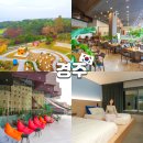 우리들사우나 | 경주 코오롱호텔 리모델링 객실 사우나 조식 예약 후기