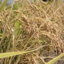 옥천농협북일지점 이미지