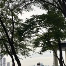용양봉저정 가족공원 | 2024 서울세계불꽃축제 보기 좋은 스팟 추천! 용양봉저정공원 방문후기