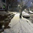 하프바버샵 이미지