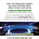 거북이여인숙 이미지