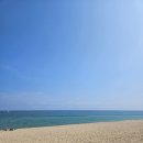 여자 둘이 강릉 당일치기 뿌수기: 바다, 닭강정, 성수미술관, 순두부젤라또, 소품샵, 장칼국수