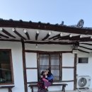철이네민박