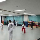 홀리드림태권도 네이버블로그