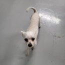 구계주유소 이미지