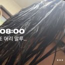 룸니버스