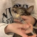 모리네 쇼핑하우