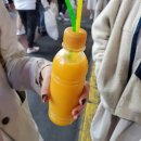 삼돌이농원감귤주스